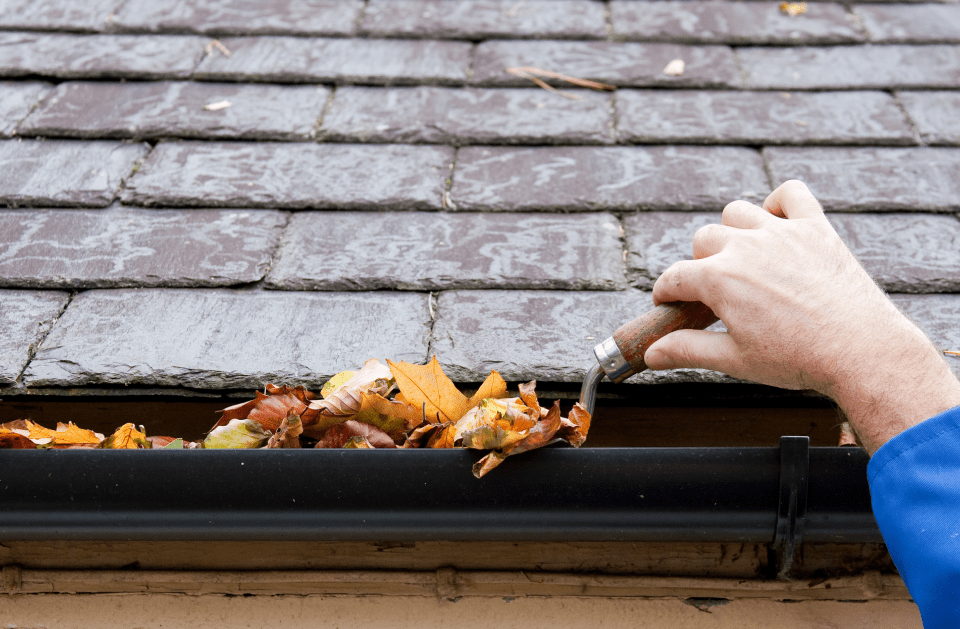 GUTTER CLEANING